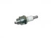 Zündkerze Spark Plug:7021 BPM6A