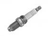 Zündkerze Spark Plug:101 000 051 AA