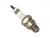 Zündkerze Spark Plug:101 000 018 AA