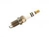 Zündkerze Spark Plug:06E 905 611