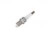 Zündkerze Spark Plug:55 576 026