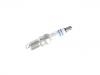 Spark Plug:19301813